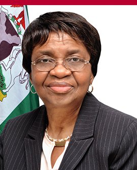 NAFDAC Vows To Test, Track Medical Supplies
