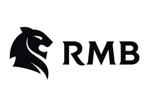 RMB Nigeria Wins Merchant Bank of the Year Award – THISDAYLIVE