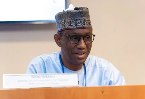 Lakurawa Terrorists Exploiting Porous Borders, Forest Reserves In N/West – NSA