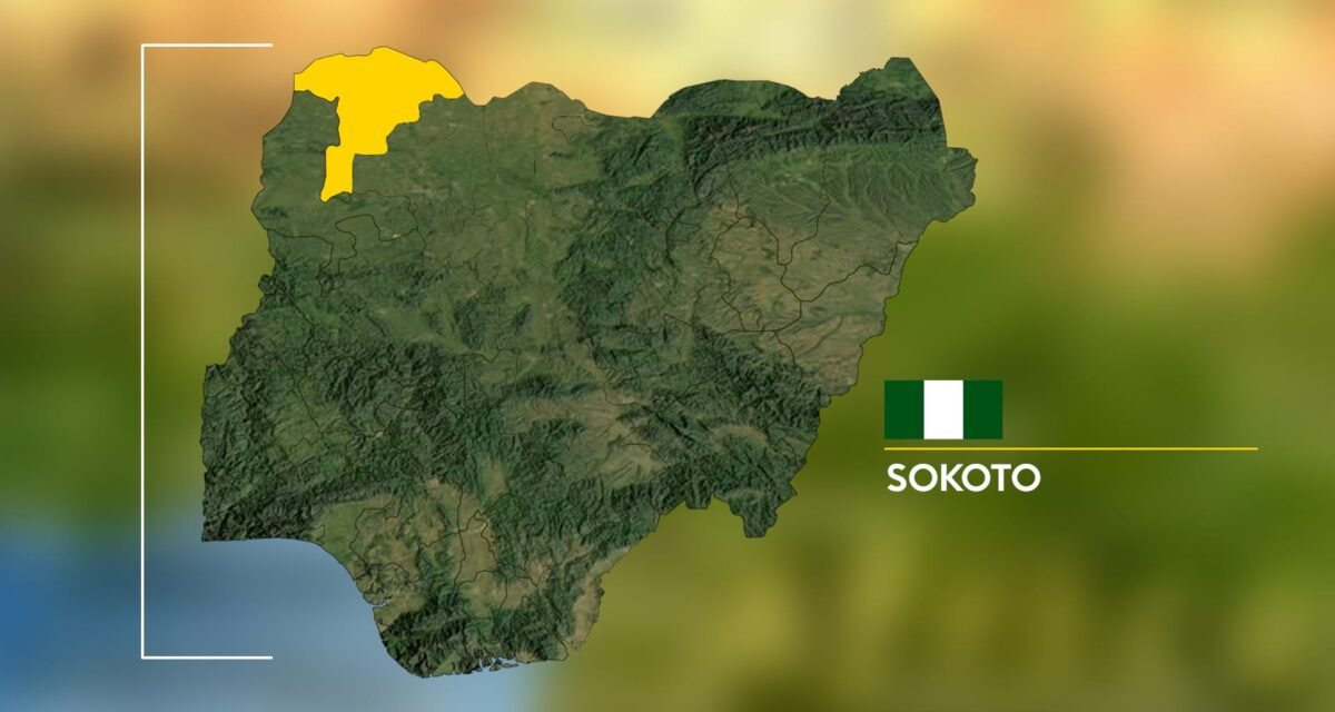 Bandits kill humanitarian worker in Sokoto attack – Daily Trust