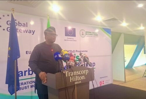 Nigeria Moves to Strengthen Carbon Market