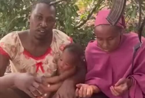 Bandits Release Abducted Kaduna Family After N300m Ransom Demand