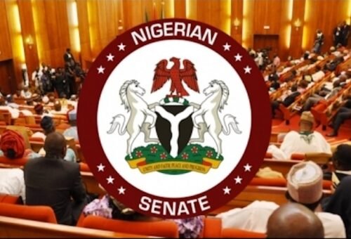 Senate Declares ‘No Vacancy’ As Akpabio, Barau Get Backing for 11th Assembly – THISDAYLIVE