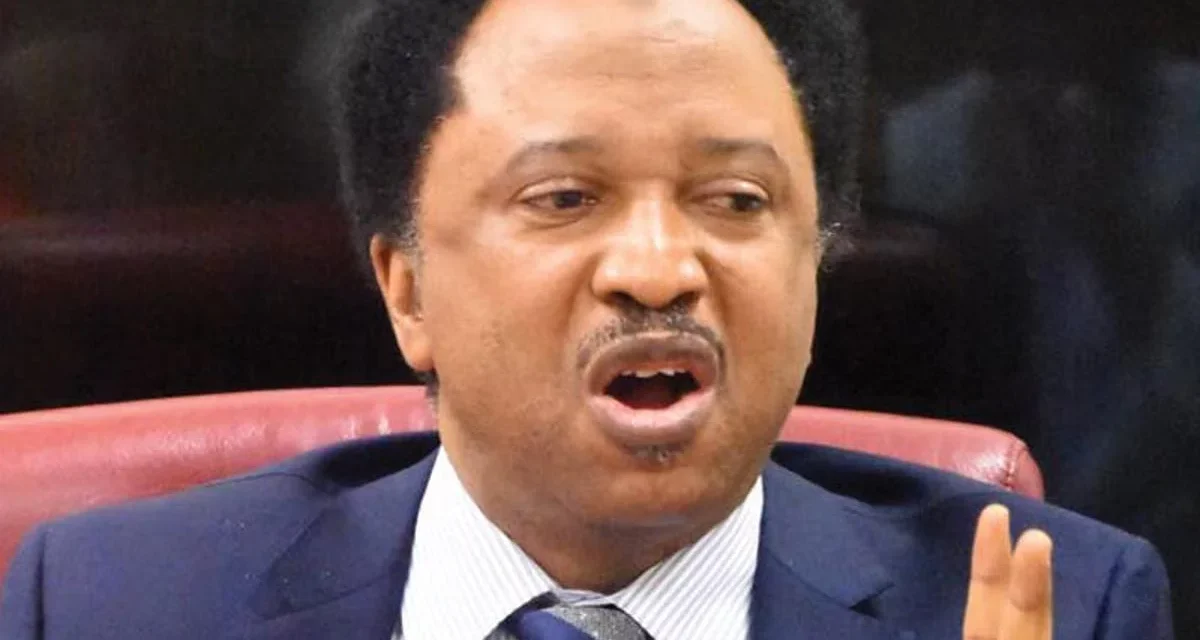 2027: Northern power grab will spark nationwide agitation — Shehu Sani