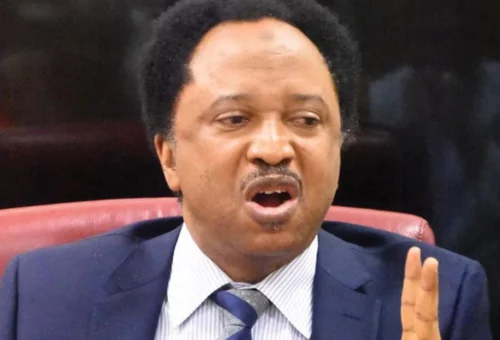 2027: Northern power grab will spark nationwide agitation — Shehu Sani