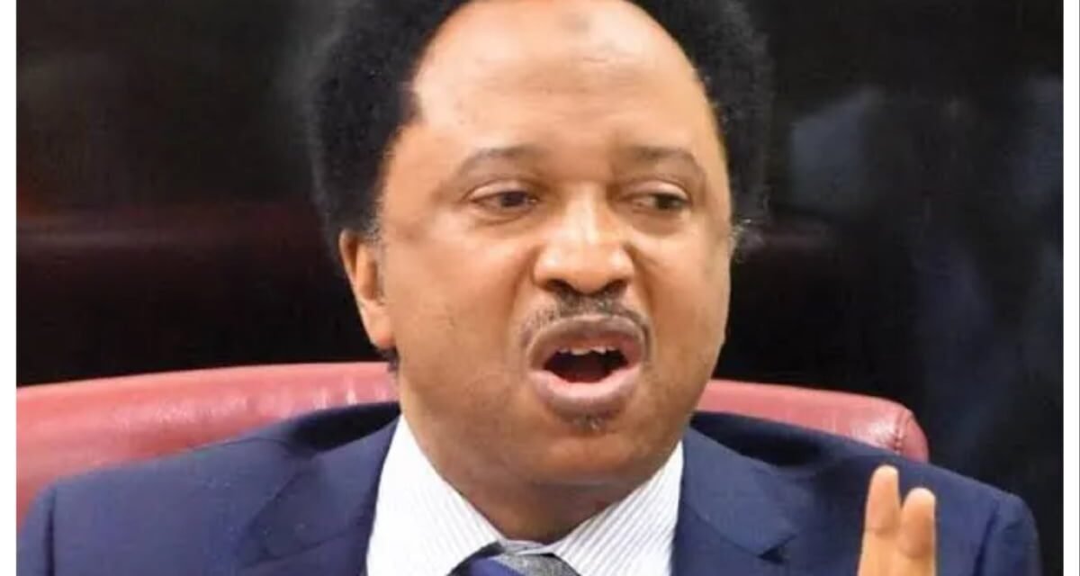 Your attacks on Nigeria will hurt you in UK – Shehu Sani knocks Kemi Badenoch