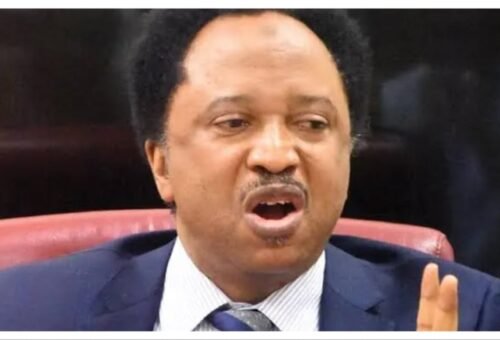 Your attacks on Nigeria will hurt you in UK – Shehu Sani knocks Kemi Badenoch