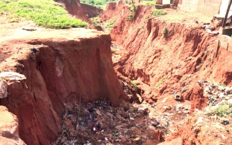 There’re plans to raise N20bn to fight erosion, flood, others across North West – Daily Trust There’re plans to raise N20bn to fight erosion, flood, others across North West – Daily Trust