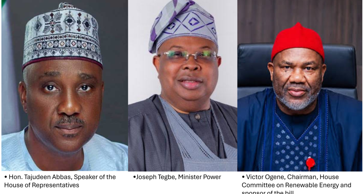Redefining Electricity Access, Investment and Sustainable Development – THISDAYLIVE
