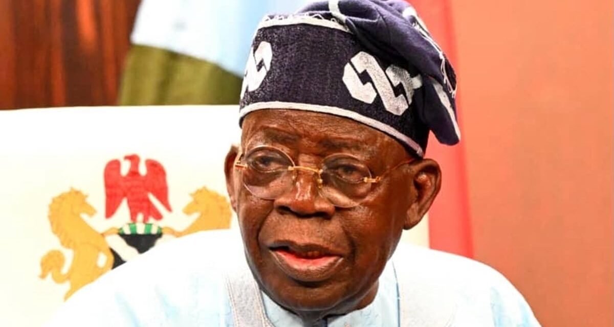 2027: Tinubu’s achievements will earn him victory — City Boy Movement DG 2027: Tinubu’s achievements will earn him victory — City Boy Movement DG