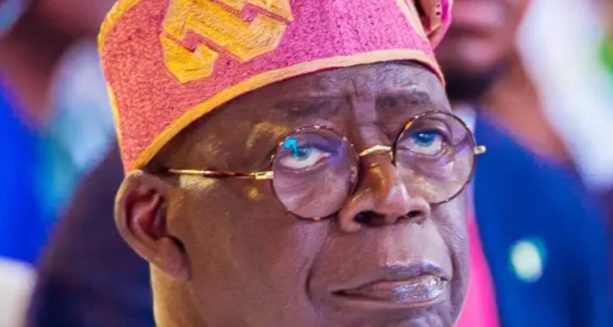 Tinubu: Elon Musk’s Grok reveals whether Nigerian President’s Independence Day distribute was AI-generated Tinubu: Elon Musk’s Grok reveals whether Nigerian President’s Independence Day distribute was AI-generated