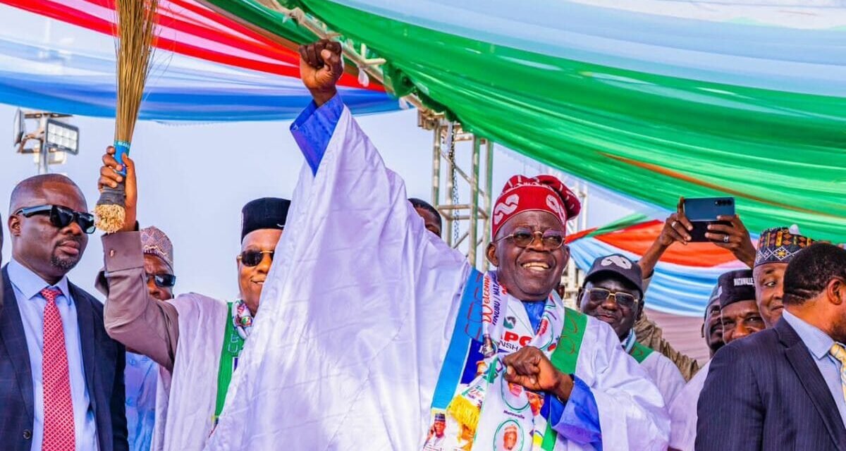 Tinubu won’t go everywhere – Daily Trust