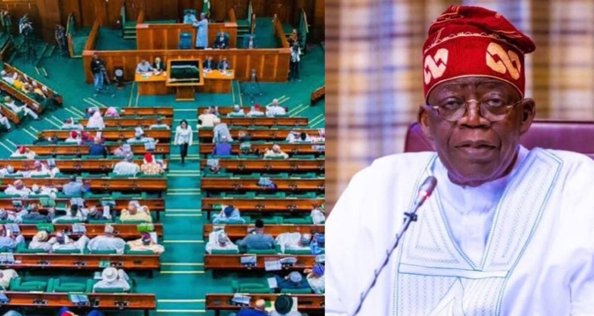 Reps to Tinubu: Submit 2027 budget estimates for scrutiny