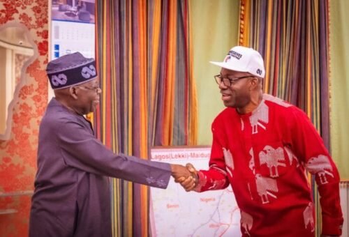 Tinubu Turns To Opposition Figures In Re-Election Survival – Daily Trust