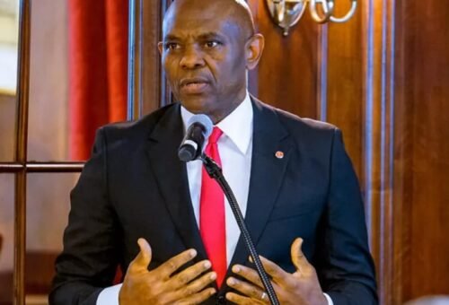 Elumelu Backs bn Infrastructure Investment Drive Across West Africa – THISDAYLIVE