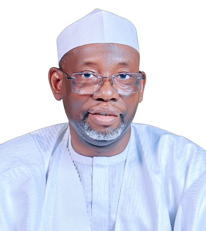 How communities can end banditry – Gov Namadi – Daily Trust
