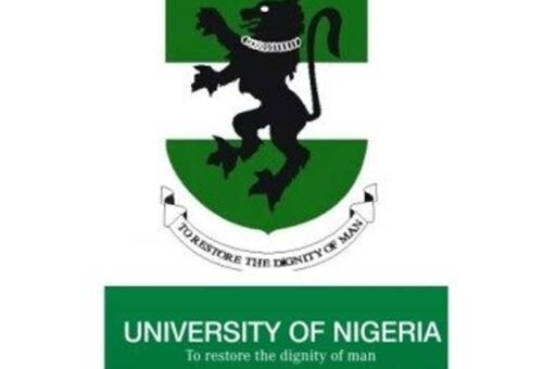 UNN Responds to Manpower Needs, Secures NUC Approval for 12 New Academic Programmes – THISDAYLIVE