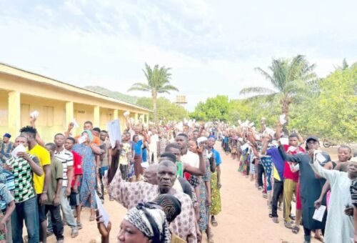INEC and neutrality test – Daily Trust