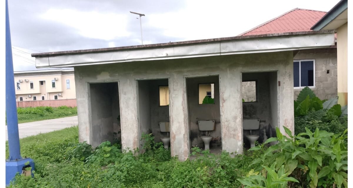 Weed overtakes Delta principal school, as pupils drink water from rust pipe