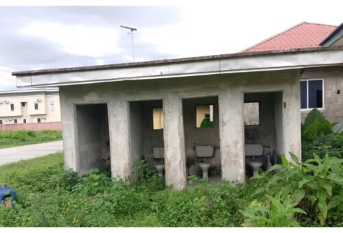 Weed overtakes Delta principal school, as pupils drink water from rust pipe