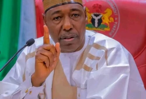 Scavengers stole ₦3bn power line wires in Borno – Zulum