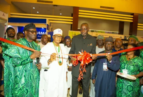 Electioneering: MAN Seeks Patronage Of Made-in-Nigeria Products