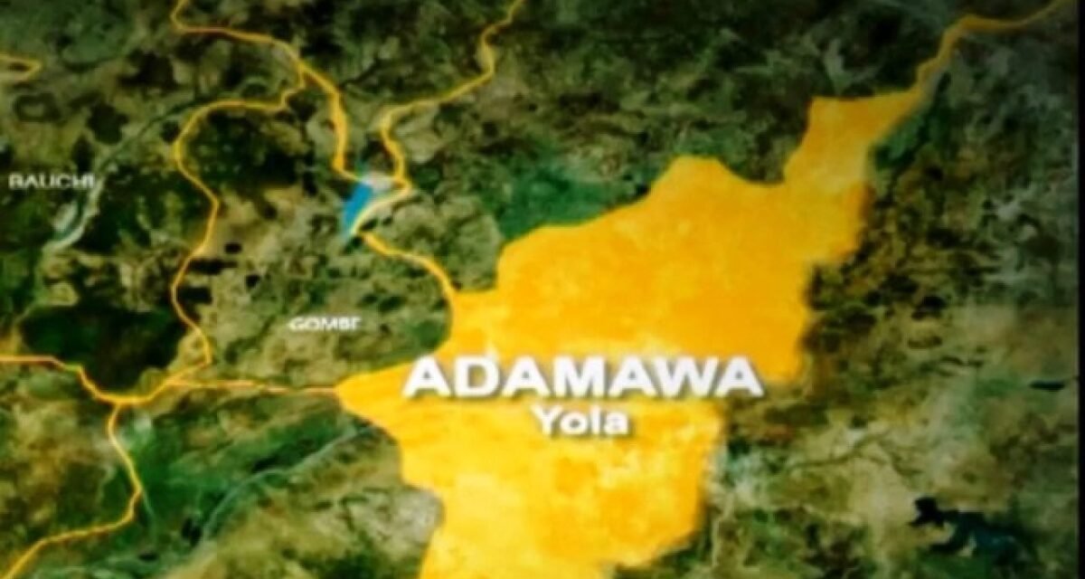 Adamawa LG chair dies months after predecessor’s death