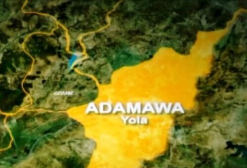 Adamawa LG chair dies months after predecessor’s death