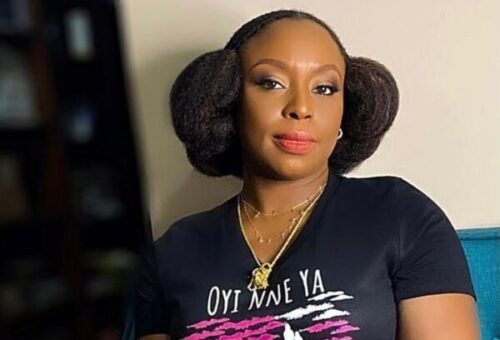 Court rejects Euracare’s bid to stop inquest into Chimamanda Adichie’s son’s death
