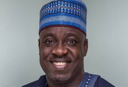 ADC vows to publish independently collated 2027 election results