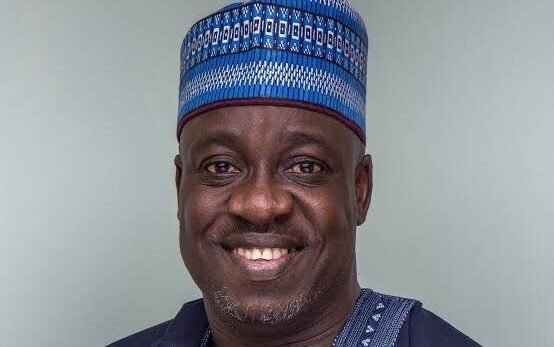 ADC vows to publish independently collated 2027 election results