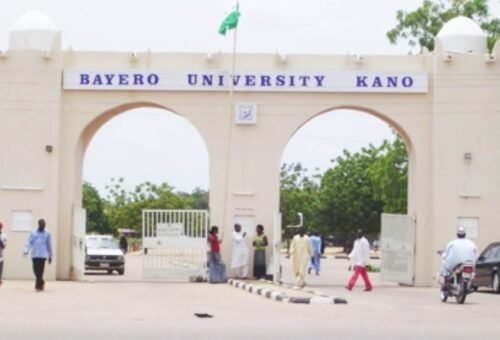 Bayero University promotes 54 staff to Professors – Daily Trust
