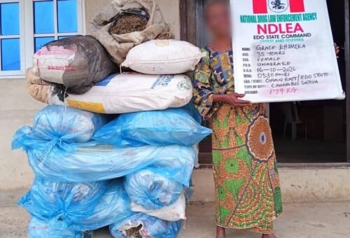‘Give me another chance’, 85-Year-Old Woman Arrested with Cannabis Begs for Mercy – Daily Trust