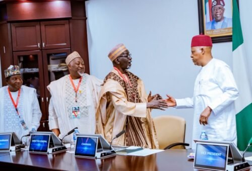 Tinubu Loves The North, Will Work For Region
