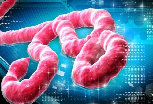 UPDATED: Nigeria confirms Ebola case in Abuja, begins contact tracing