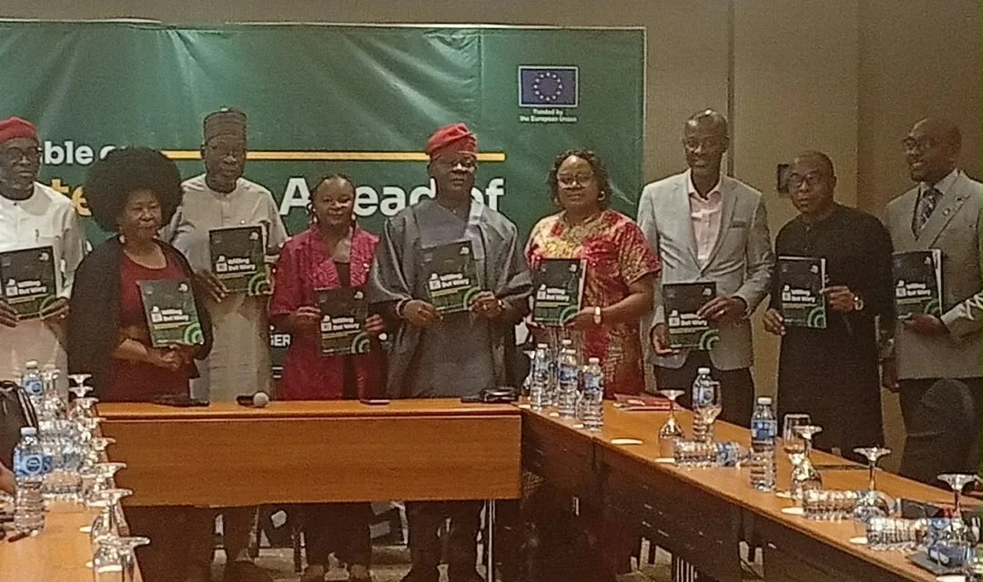 Over 84% Nigerians Willing To Vote During 2027 Elections – Yiaga Survey Over 84% Nigerians Willing To Vote During 2027 Elections – Yiaga Survey