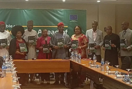 Over 84% Nigerians Willing To Vote During 2027 Elections – Yiaga Survey