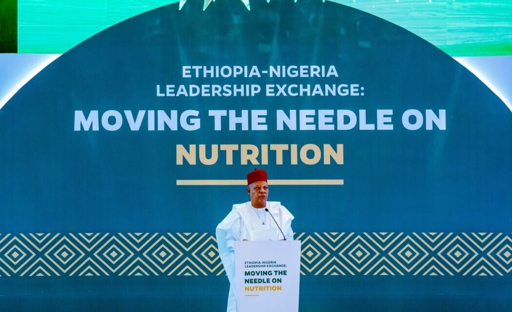 Shettima Pushes National Food, Nutrition Bill To Protect Funding Shettima Pushes National Food, Nutrition Bill To Protect Funding