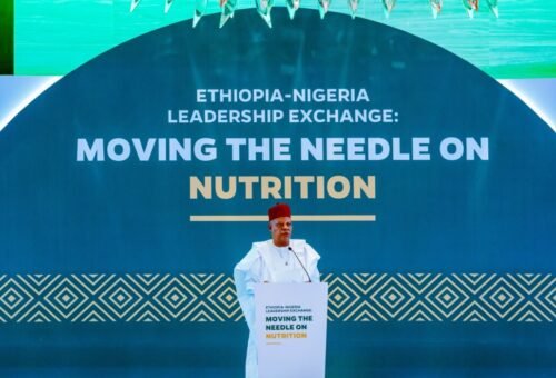 Shettima Pushes National Food, Nutrition Bill To Protect Funding