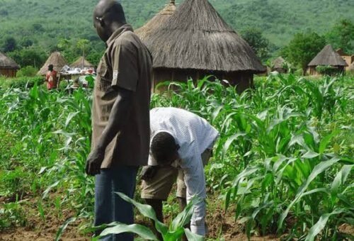 Why North Wants More Funds For Agro-Climatic Resilience Project