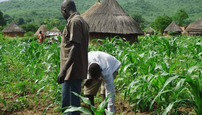 Why North Wants More Funds For Agro-Climatic Resilience Project