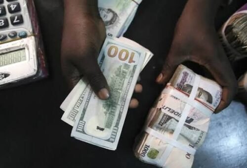 Black-owned Businesses Face 1bn Funding Gap in Nigeria – THISDAYLIVE