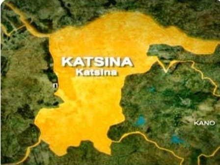 Katsina Targets 11m Trees by 2030 As Radda Launches Statewide Greening Campaign – THISDAYLIVE