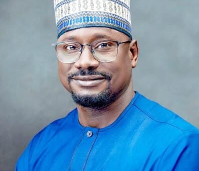 Proposed NARE bill poses risk to electricity market – REA CEO – Daily Trust