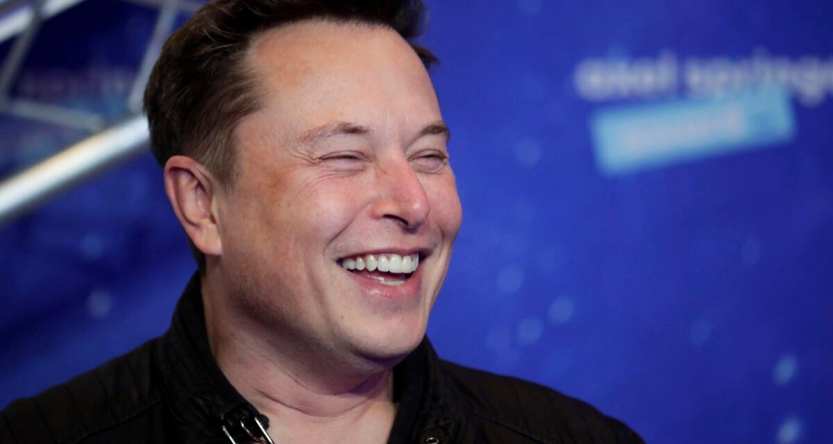 Elon Musk regains trillionaire status as wealth jumps  billion
