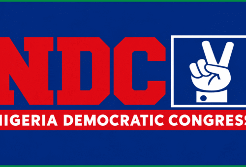 Who Is Afraid Of Peter Obi? NDC Challanges APC