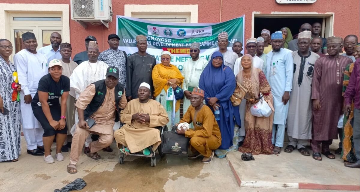 Climate Change: Niger urges farmers to adapt as rainfall pattern shifts Climate Change: Niger urges farmers to adapt as rainfall pattern shifts