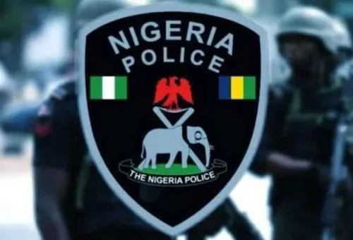 We’re ready to implement state police – Benue Gov’t – Daily Trust