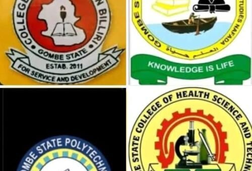 Gombe Tertiary Institutions Begin Indefinite Strike – Daily Trust