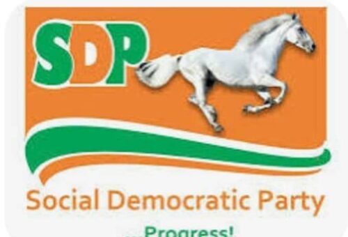 NNPP members defect to SDP in Adamawa – Daily Trust